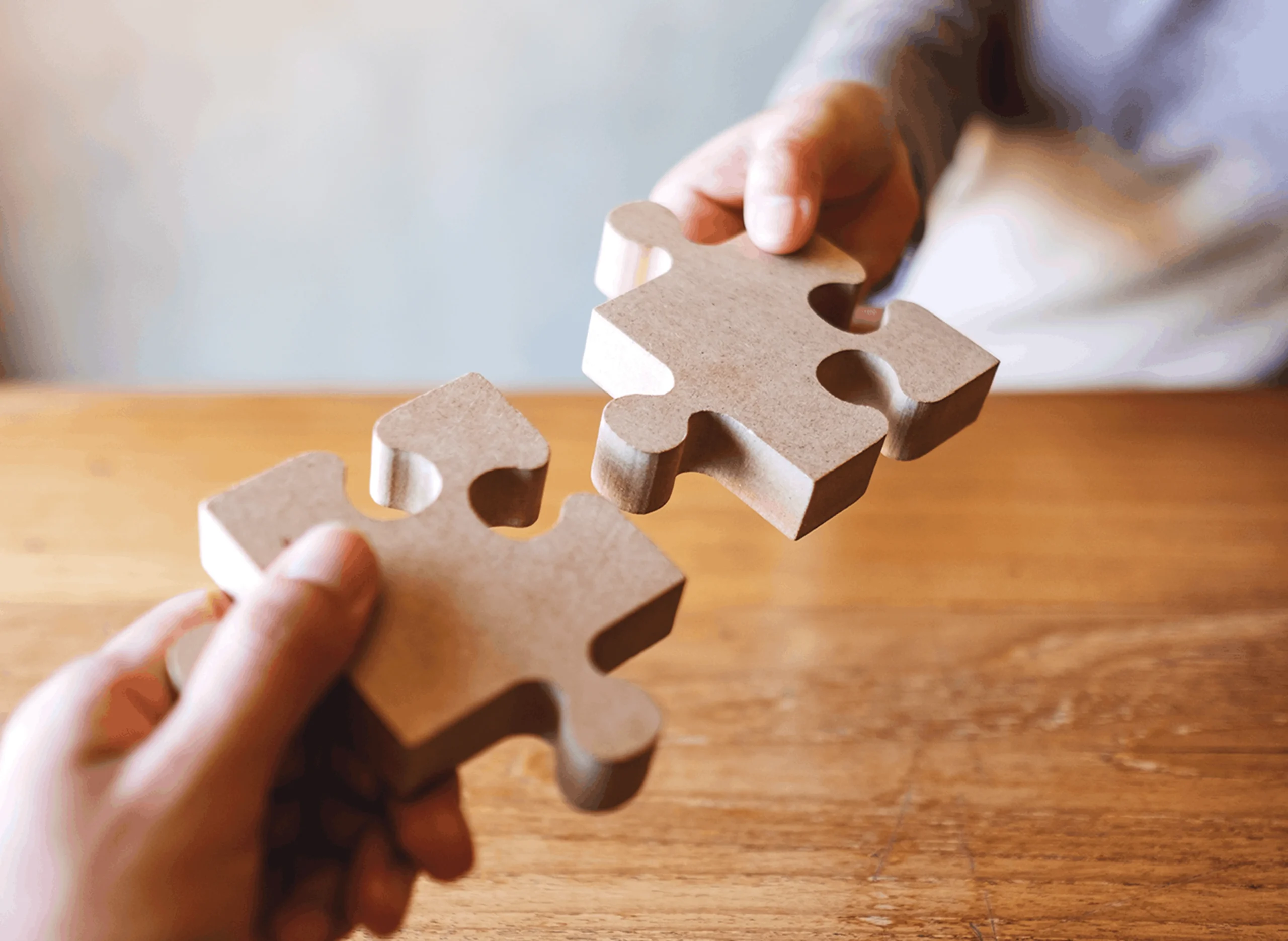 Company, Trust & Partnership Tax Returns